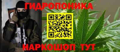 скорость Дубна