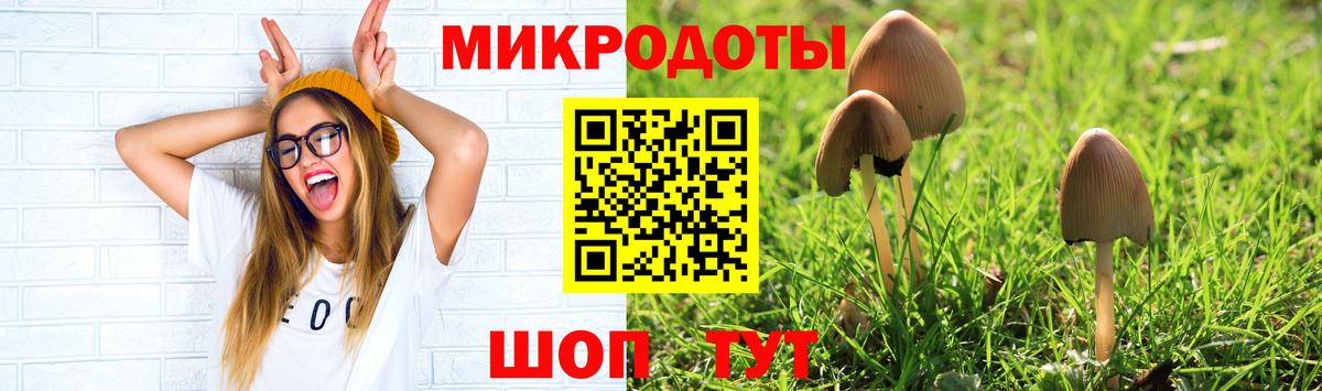 Кизляр  Галлюциногенные грибы MAGIC MUSHROOMS  Вход с VPN 